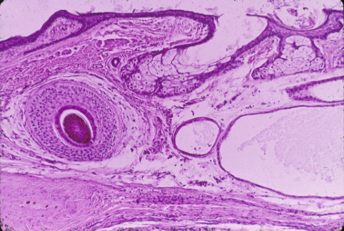 slide_91_2.jpg