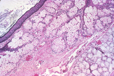 slide_91_3.jpg