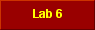  Lab 6 